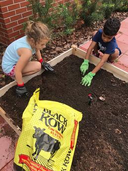 Start A Garden